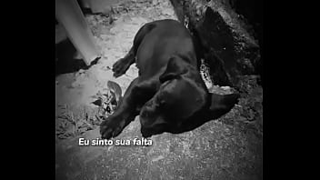 [Videos Porno] V Verifica De Co O